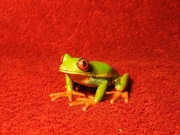 żaba drzewna lub żaba - malowana figurka z brązu - kolorowa miniatura (1)