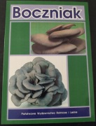 Boczniak. PWRIL 1995