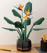 Sterlicja klocki botanicals 10289