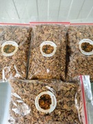 Propolis kit pszczeli 100g 100gram 0.1kg z pasieki 