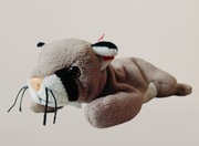 Ty Beanie Babies Canyon puma maskotka 1998