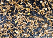 Mieszanka ziaren  dla ptaków zimujących karmnik 10 kg