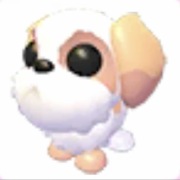 Shih Tzu - Adopt Me Roblox