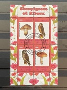 Bloczek tematyczny kasowany grzyby ptaki