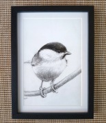 Sikorka Uboga, obraz z ramką - czarna kredka 20x29 cm oryginał