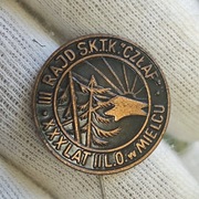 Odznaka PTTK Rajd SKTK CZŁAP XXX lat II LO w Mielcu