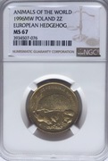 2 ZŁ1996 JEŻ NGC MS67 ! 2 MAX PIĘKNA OKAZJA