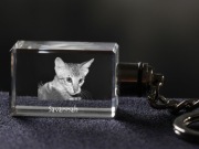 Savannah brelok sześcienny ŚWIECĄCY KOT