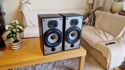 B&W  Bowers & Wilkins   DM110i - fajowe monitory 