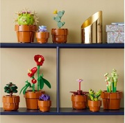 LEGO Icons Małe roślinki 10329