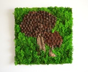 Obraz z mchu DRZEWKO mech chrobotek ŻYWY OBRAZ