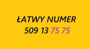 Złoty srebrny łatwy numer 509 13 75 75 BCM starter prosty karta prepaid SIM