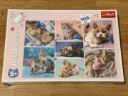 Puzzle Trefl Koty Kociaki 100 elementów 5+ NOWE zafoliowane