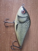 Salmo Poland Slider 12
