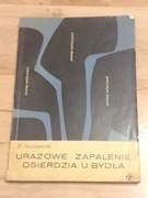 urazowe zapalenie osierdzia u bydła