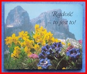 RADOŚĆ - TO JEST TO! - SERIA "PEREŁKI" NR 7