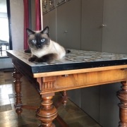 Antyczny - eklektyczny stół po profesjonalnej renowacji 120x80cm