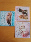 Puzzle Sweet & Lovely 3w1 puzzle Kotki Trefl