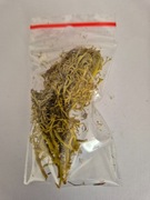 MECH CHROBOTEK ŻÓŁTY NA KRZEWY DRZEWKA