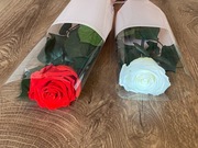 Róża stabilizowana /wieczna, prezent dla mamy 