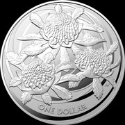 Srebrna moneta 1oz Waratah, Royal Australian Mint, 2022