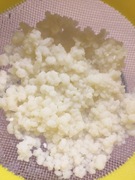 Grzybek tybetański domowy kefir na wiejskim mleku kl. PREMIUM