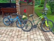 Rower Northtec Jumbo oraz rower Karbon