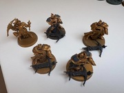 Castigators Age of Sigmar Soul Wars