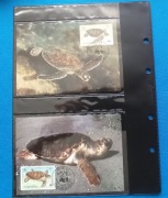 Wkłady na widokówki WWF 1 wkład na 4 widokówki