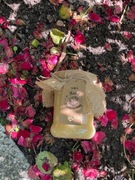 Miód z rodzinnej pasieki 2024