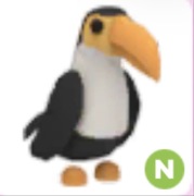Toucan N - Adopt Me Roblox