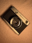 Czajka II (z wadami uszkodzona)