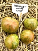 Pomidor Sarandipty dwarf kolekcjonerskie nasiona