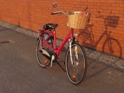 Rower holenderski Batavus Mambo