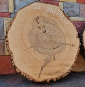 3 JESION 96/78/10 cm Blat Plaster Drewna Stolik Żywica Epoxy DIY Live Edge