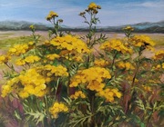 Obraz olejny pejzaż kwiaty łąka wrotycz