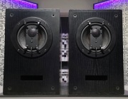 Aktywne Monitory Studyjne Geithain RL904 - Para