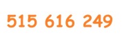 515 616 249 ZŁOTY NUMER ORANGE 5G