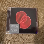 Peter Gabriel Scratch My Back