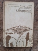 Jaskółki i Amazonki