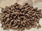 Murarka pszczoła kokony 440 szt. z wysyłką