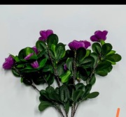 Rododenron solarny 5glowic. Kolor fioletowy. Wodoodporny 