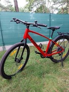 Rower Trek Dual Sport 