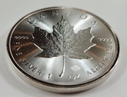 Monety srebrne Kanada Liść Klonowy 1 oz tuba 25 szt.