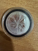 Germania Mint 2021 Chestnut Leaf 1 oz – Mythical Forest – Ag 9999 – 5 Mark