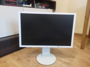 Monitor Nec MultiSync EA243WM