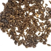 Karaczan argentyński dubia wylęg 500 szt.