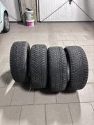 Opony całoroczne Nexen Nblue4 Seasion 205/55R16