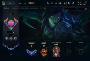 KONTO LEAUGE OF LEGENDS D4 | 473 SKINS | EME | ALL CHAMPS | 4/5 ULTIMATE