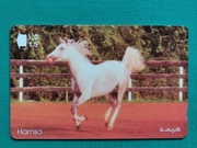 OMAN      -  Karta telefoniczna  /  KONIE